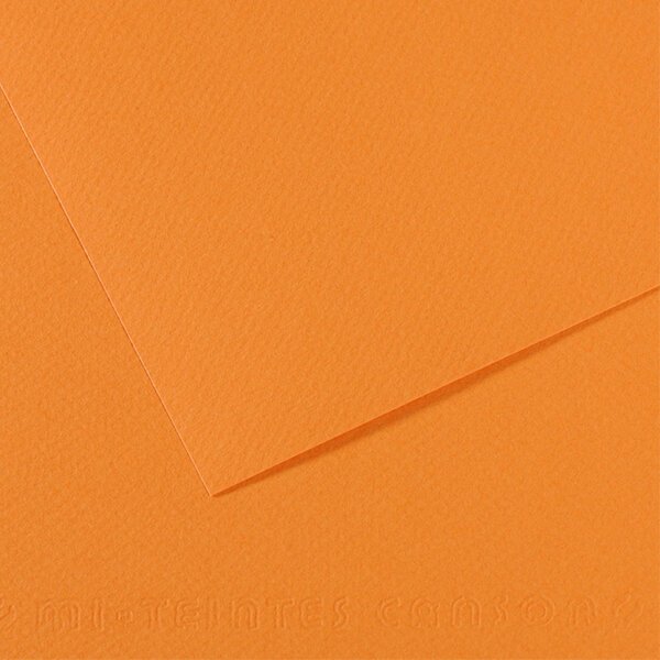 Canson Fon Kartonu (Dokulu) Mı-Teıntes 25 Lİ 50x65 160 GR 384 Saumon 200321104