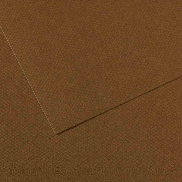 Canson Fon Kartonu (Dokulu) Mı-Teıntes 25 Lİ 50x65 160 GR 501 Dark Brown 200331484