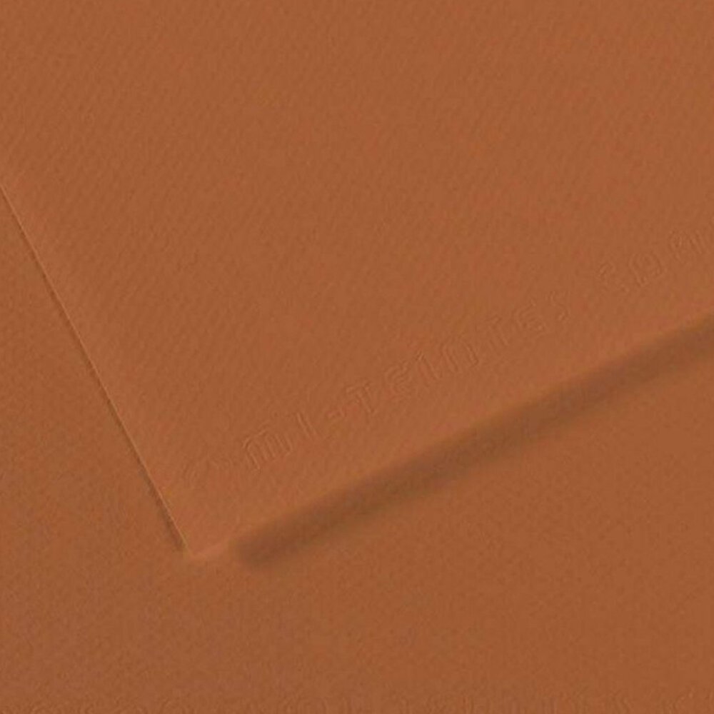 Canson Fon Kartonu (Dokulu) Mı-Teıntes Sh Canmt 50x65 160 GR Brown 187