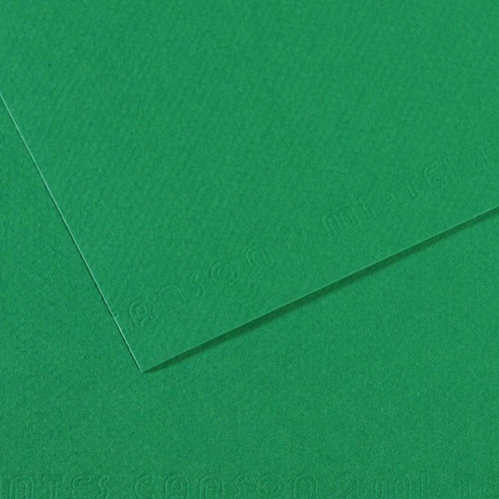 Canson Fon Kartonu (Dokulu) Mı-Teıntes Sh Canmt 50x65 160 GR Grn 575 31032S114