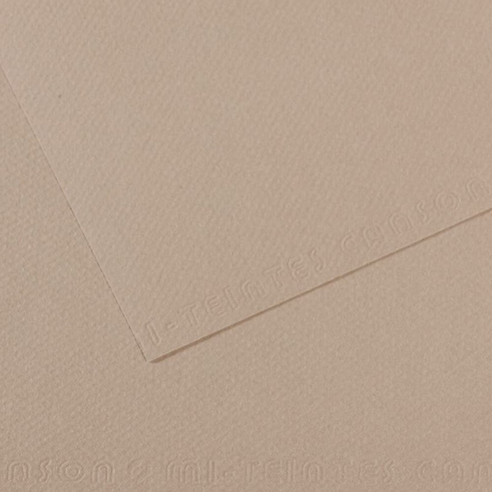 Canson Fon Kartonu (Dokulu) Mı-Teıntes Sh Canmt 50x65 160 GR Grey 122