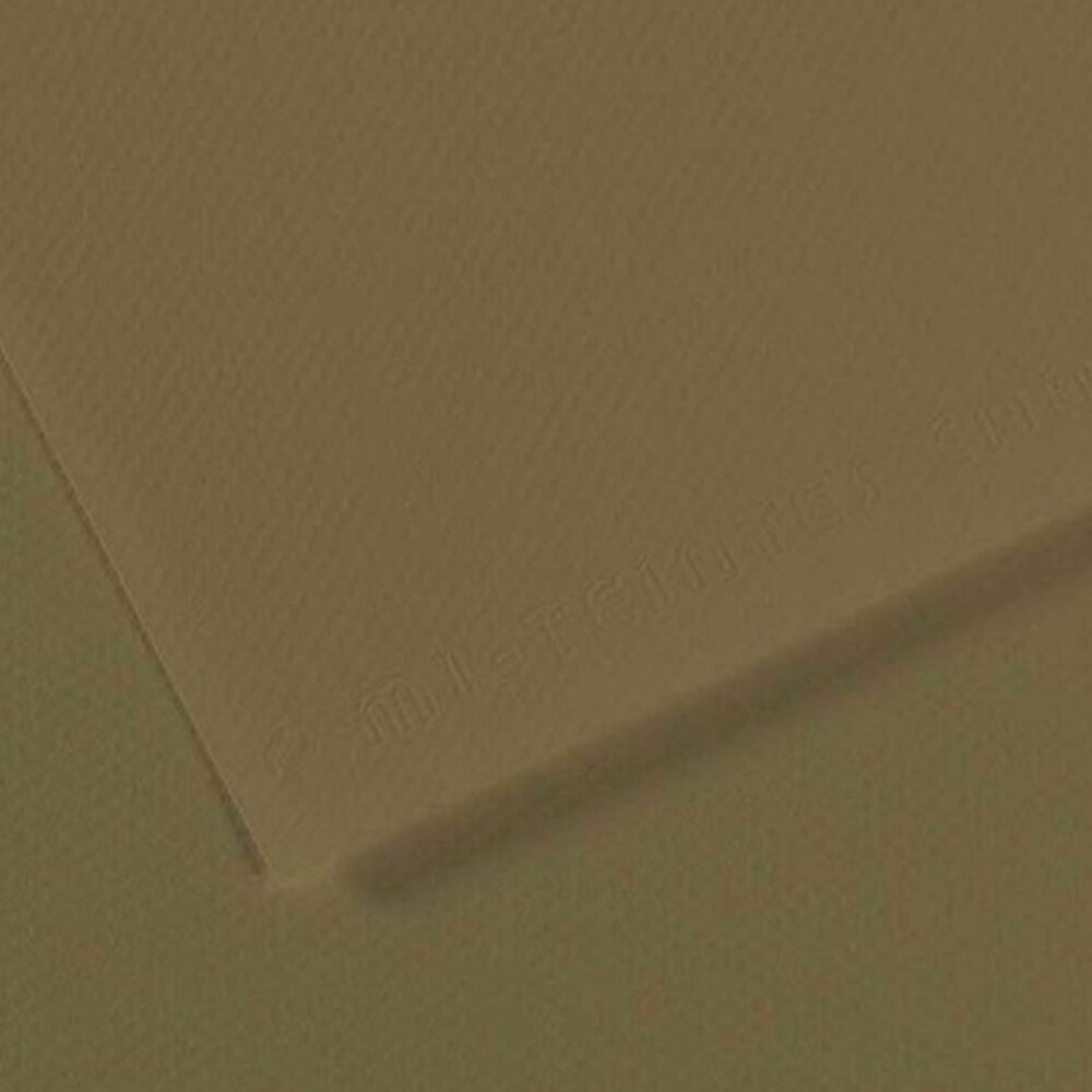 Canson Fon Kartonu (Dokulu) Mı-Teıntes Sh Canmt 50x65 160 GR Grn 191