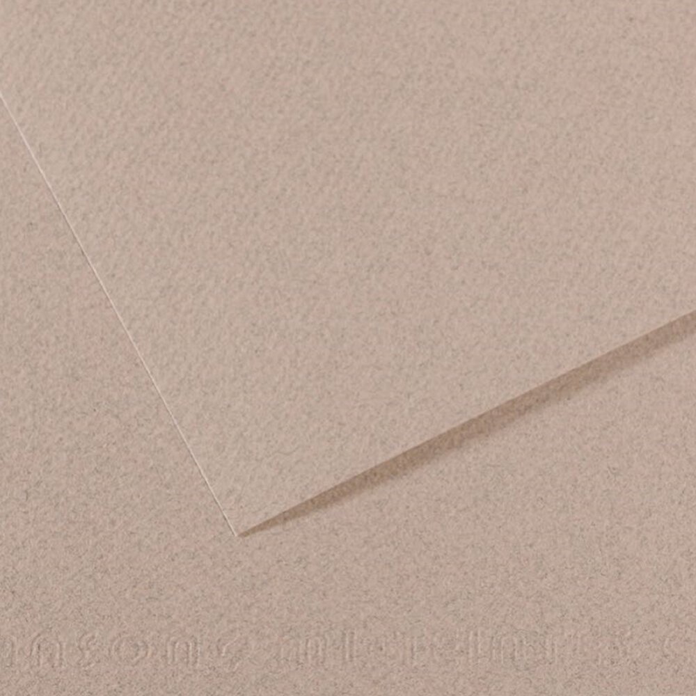 Canson Fon Kartonu (Dokulu) Mı-Teıntes Sh Canmt 50x65 160 GR Grey 426