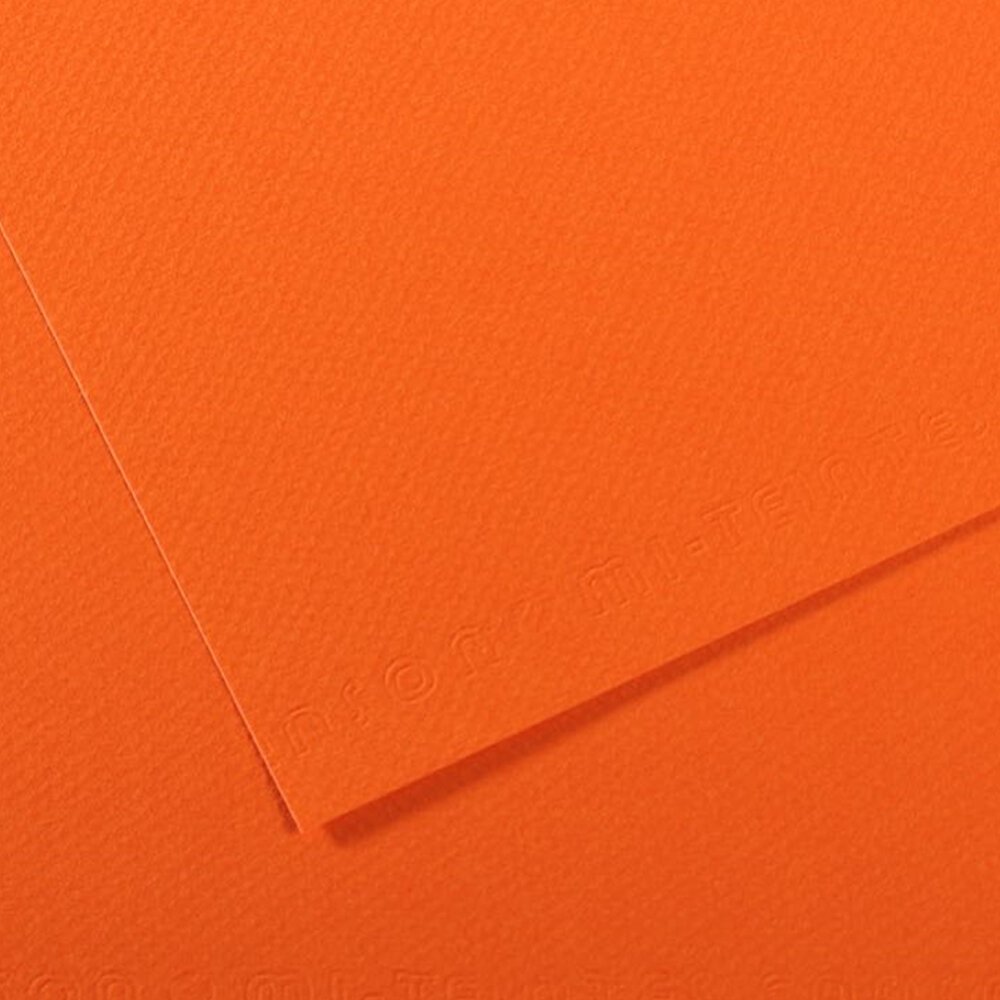 Canson Fon Kartonu (Dokulu) Mı-Teıntes Sh Canmt 50x65 160 GR Org 453