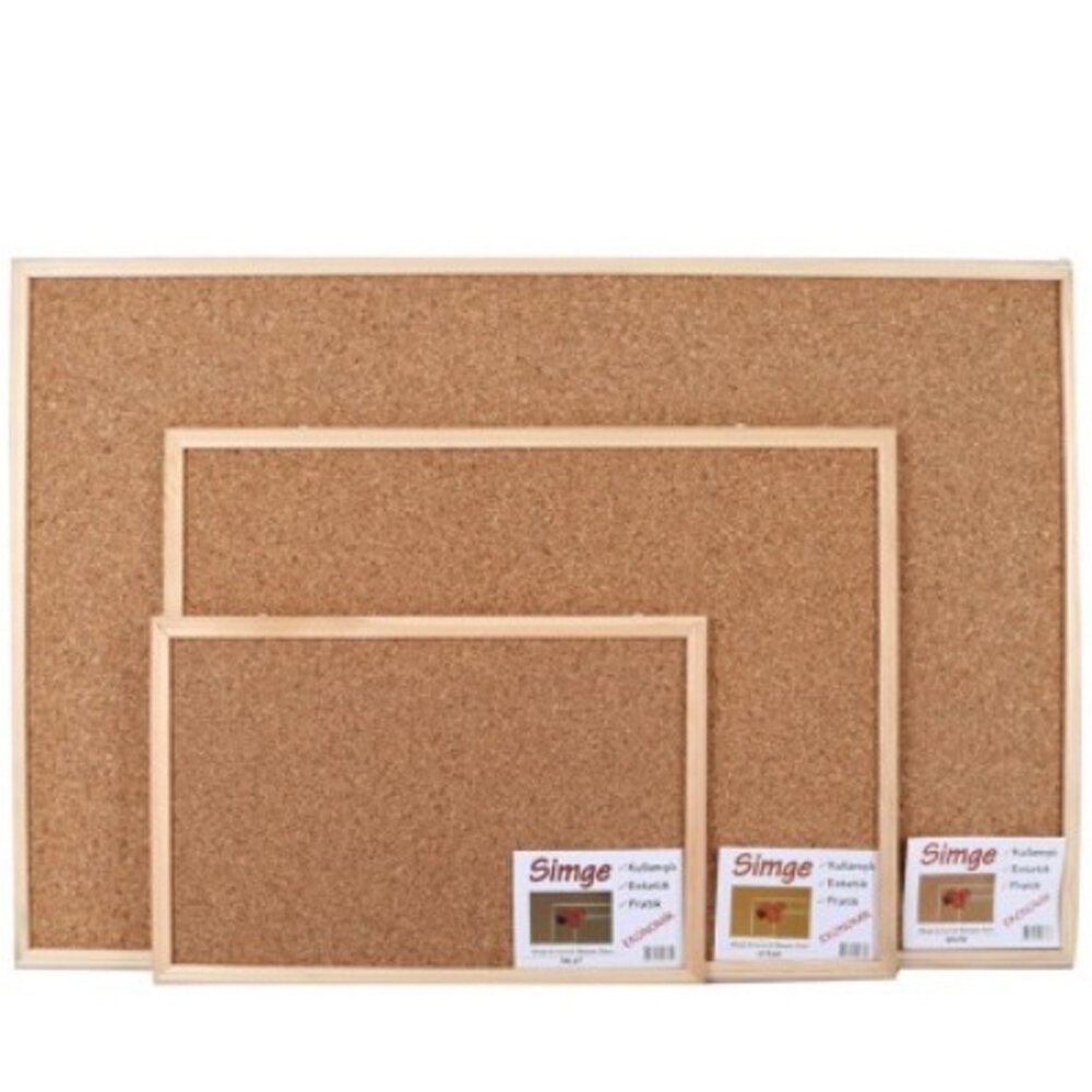 Simge Mantar Pano 60x90 0137