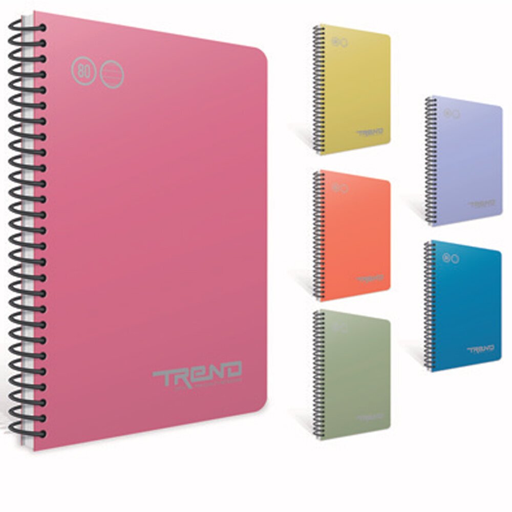 Gıpta Spiralli Plastik Kapak Defter Paw A4 80 YP Kareli