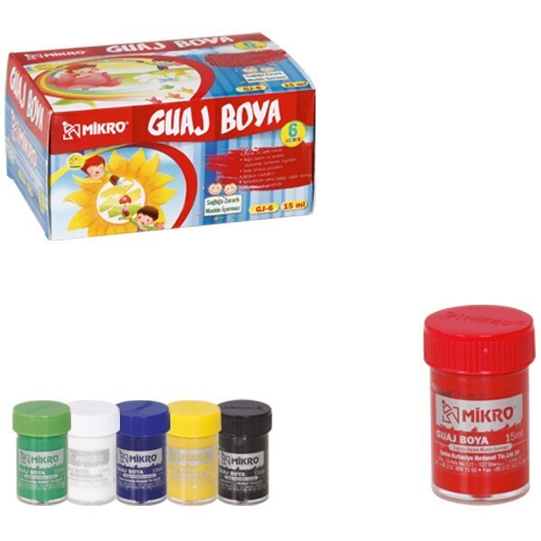Mikro Guaj Boya Şişe 6 Renk 15 ML GJ-06