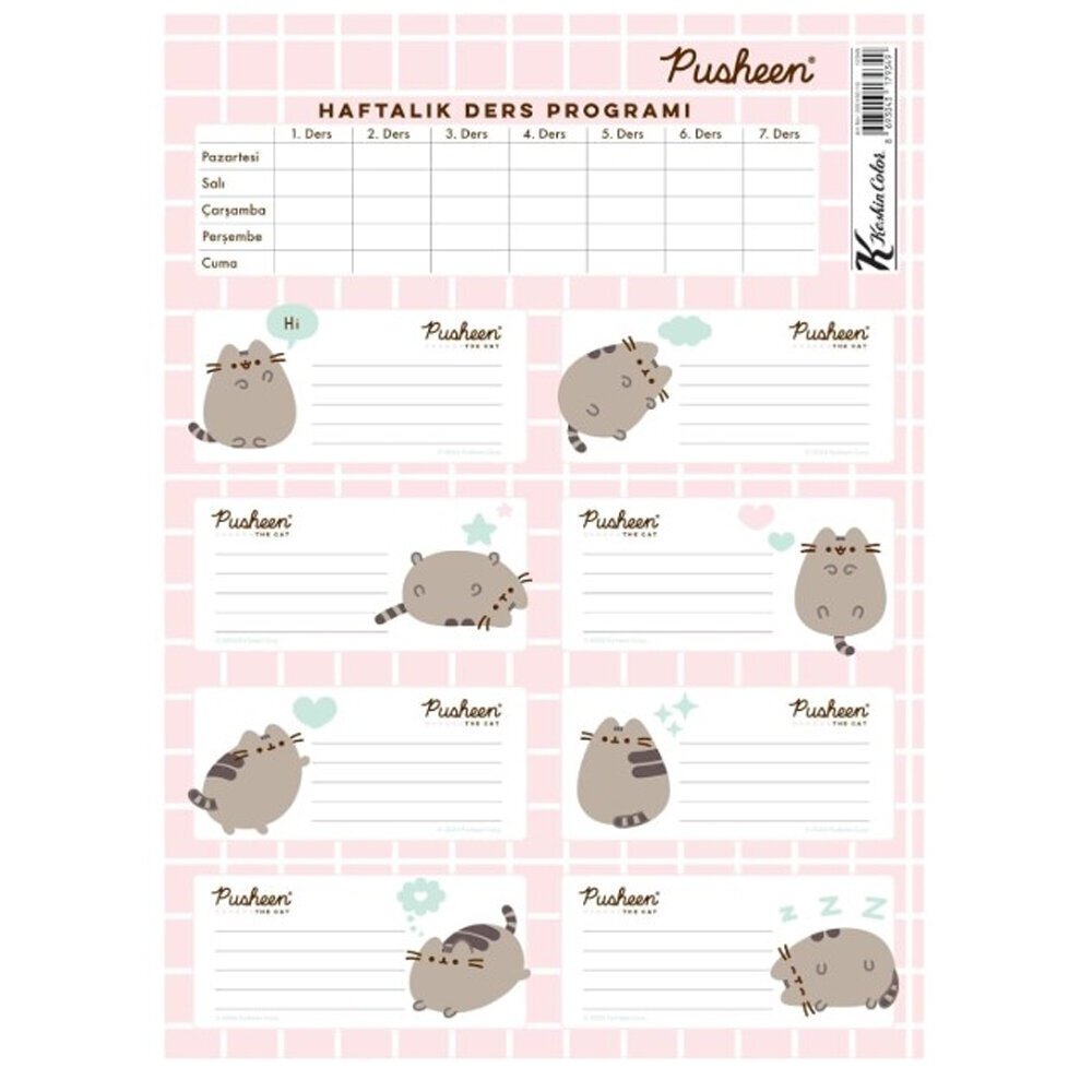 Pusheen Ders Programlı Etiket 3 Lü 220130-10