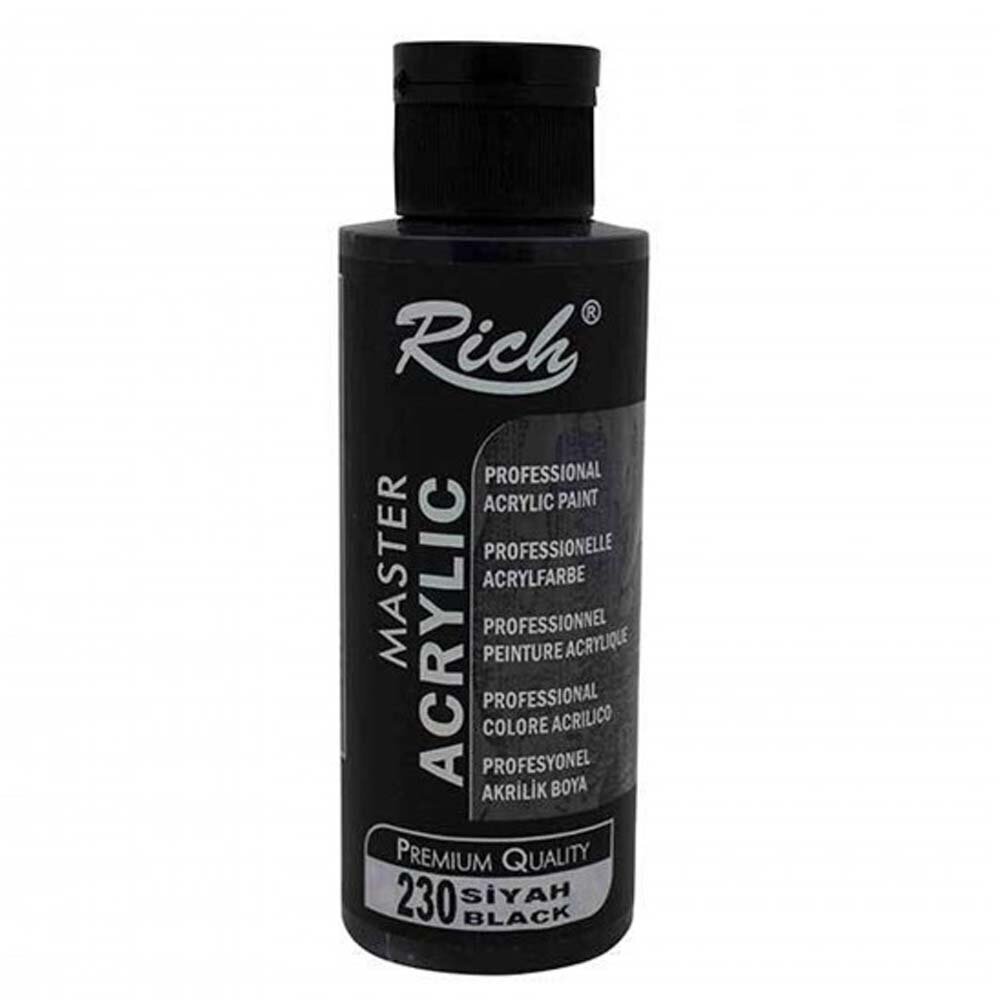 Rich Akrilik Boya Master 120 CC Siyah 120-230