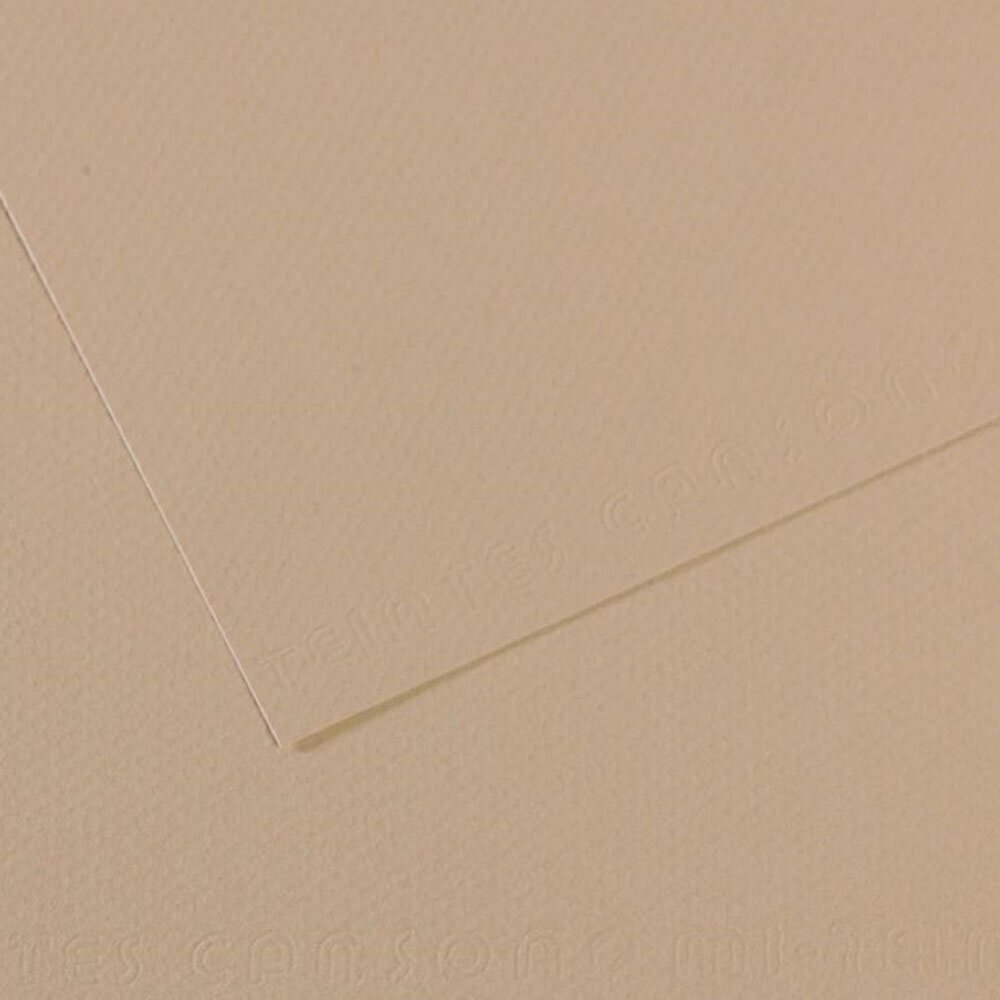 Canson Fon Kartonu (Dokulu) Mı-Teıntes 50x65 160 GR GREY 343