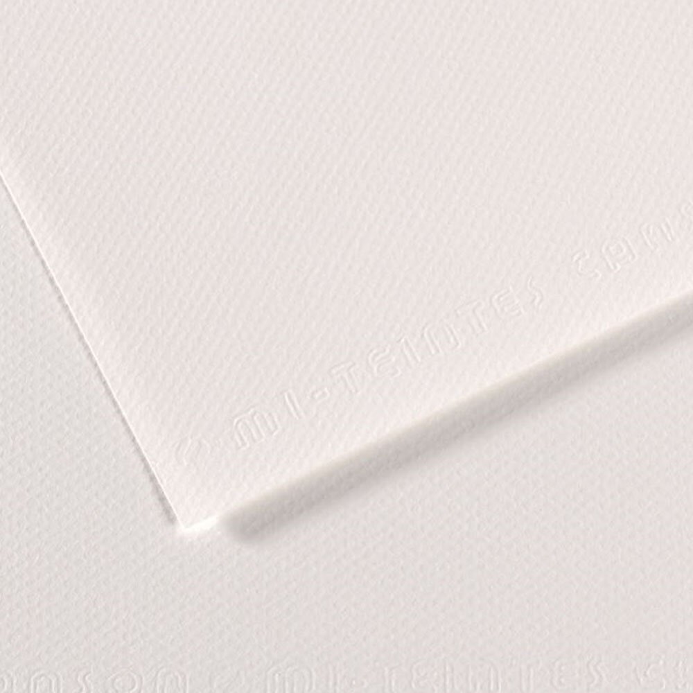 Canson Fon Kartonu (Dokulu) Mı-Teıntes 50x65 160 GR Whıt 335