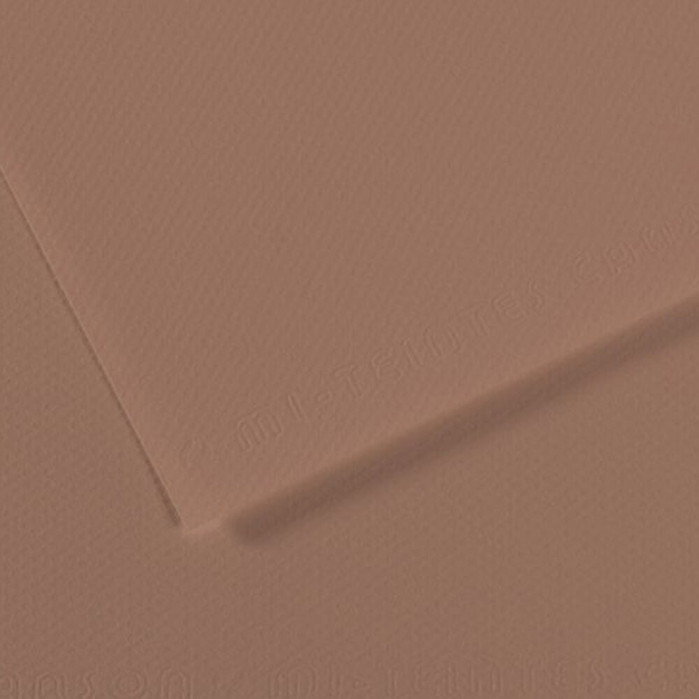Canson Fon Kartonu (Dokulu) Mı-Teıntes Sh Canmt 50x65 160 GR Brown 188