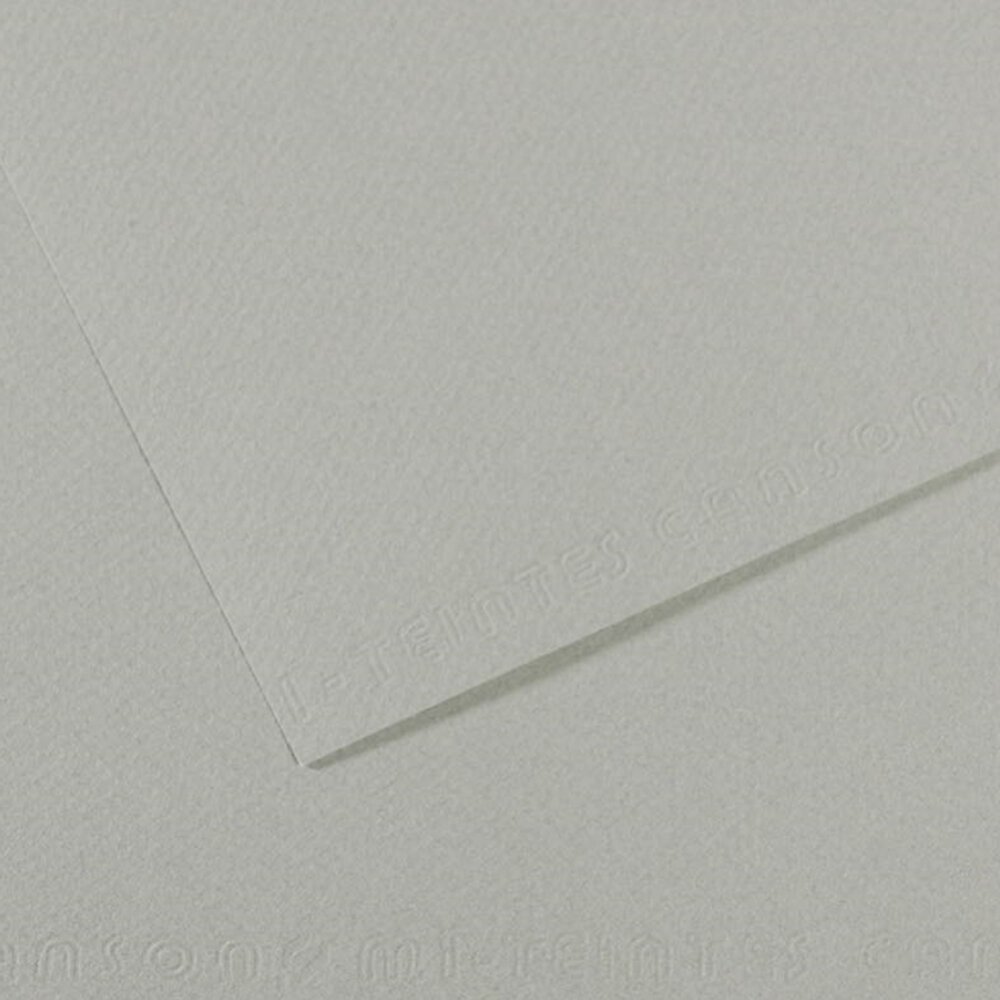 Canson Fon Kartonu (Dokulu) Mı-Teıntes Sh Canmt 50x65 160 GR Grey 354