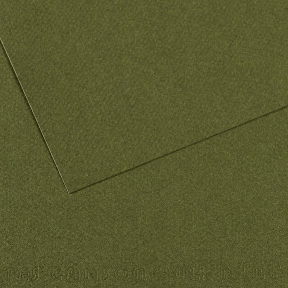 Canson Fon Kartonu (Dokulu) Mı-Teıntes Sh Canmt 50x65 160 GR Grn 448