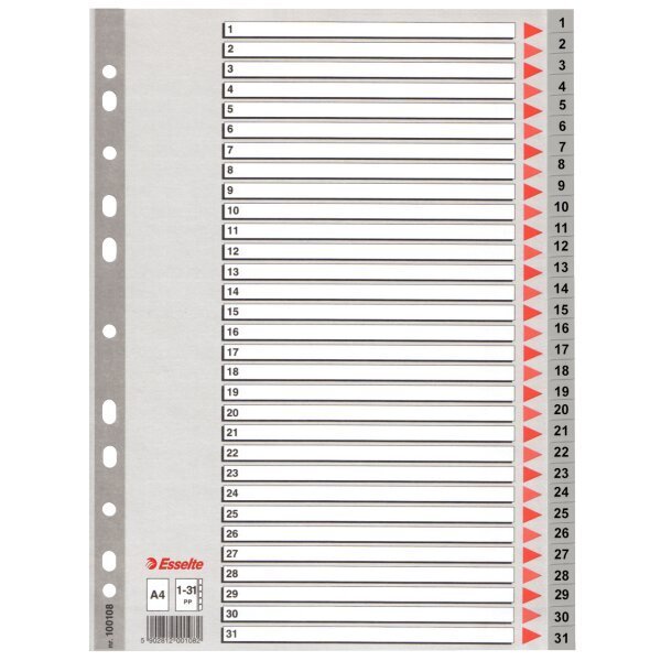 Esselte Seperatör 1-31 Rakamlı Plastik A4 100108