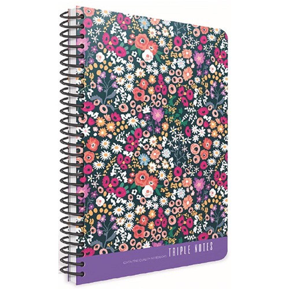 Gıpta Trıple Notes Spiralli Sert Kapak Defter 17x24 80 YP Çizgili