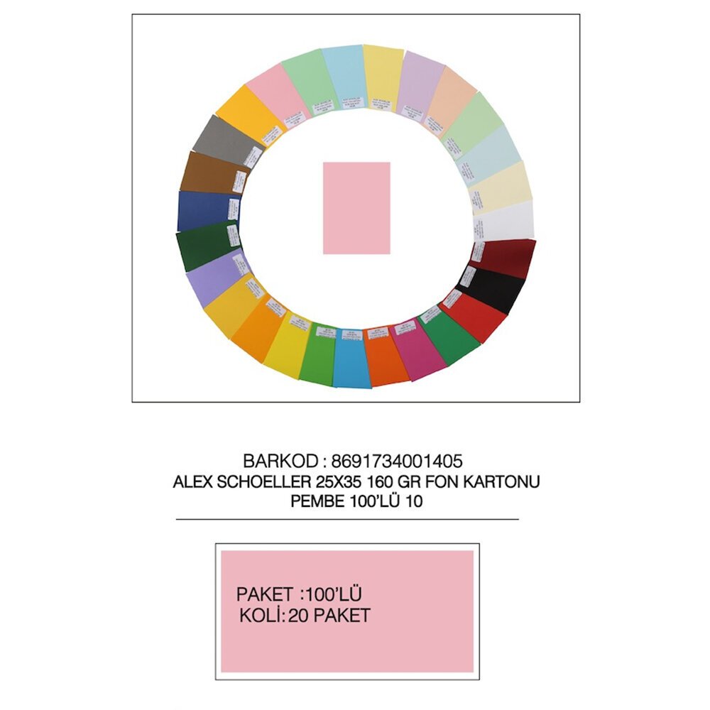 Alex Schoeller Fon Kartonu 160 GR 25x35 No:10 Pembe 100 Lü