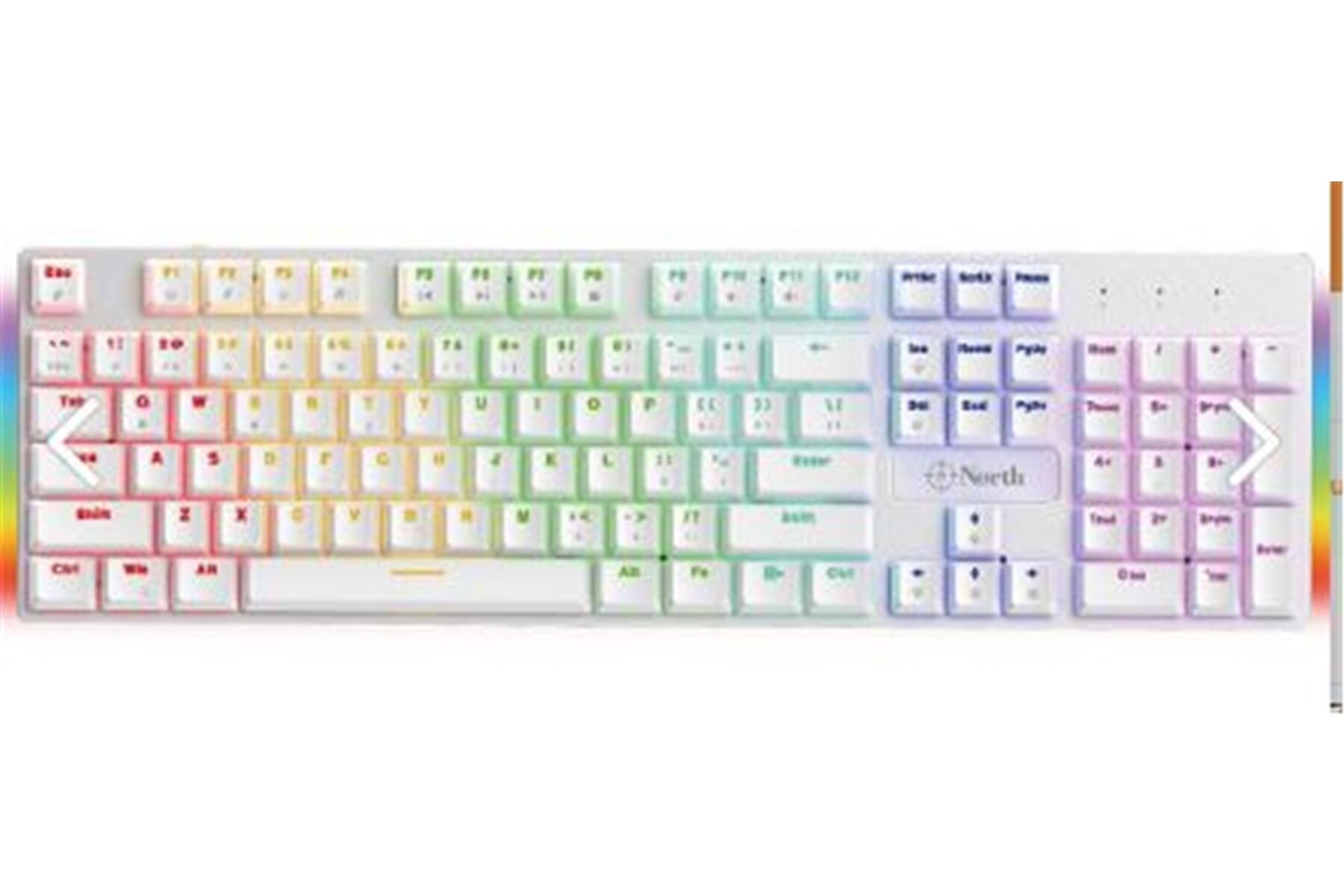 North Shield White Red Switch Türkçe Q RGB Beyaz Mekanik Gaming Klavye