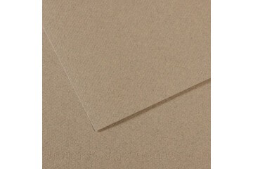 Canson Fon Karton (Dokulu) Mı-Teıntes Sh Canmt 50x65 160 GR Grey 429