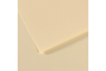 Canson Fon Karton (Dokulu) Mı-Teıntes Sh Canmt 50x65 160 GR Ylw 101