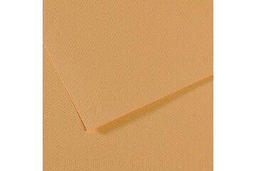 Canson Fon Kartonu (Dokulu) Mı-Teıntes 50x65 160 GR Kahverenk 340