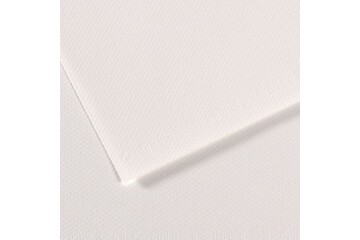 Canson Fon Kartonu (Dokulu) Mı-Teıntes 50x65 160 GR Whıt 335