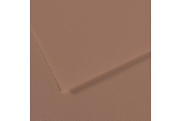 Canson Fon Kartonu (Dokulu) Mı-Teıntes Sh Canmt 50x65 160 GR Brown 188