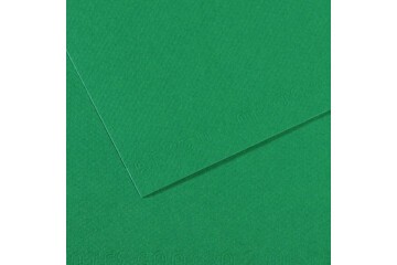 Canson Fon Kartonu (Dokulu) Mı-Teıntes Sh Canmt 50x65 160 GR Grn 575 31032S114