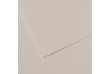 Canson Fon Kartonu (Dokulu) Mı-Teıntes Sh Canmt 50x65 160 GR Grey 120