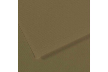 Canson Fon Kartonu (Dokulu) Mı-Teıntes Sh Canmt 50x65 160 GR Grn 191