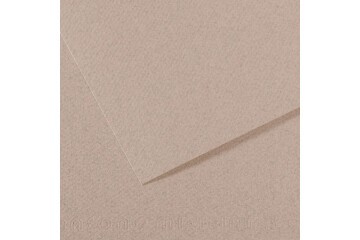 Canson Fon Kartonu (Dokulu) Mı-Teıntes Sh Canmt 50x65 160 GR Grey 426