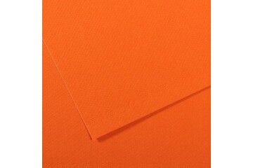 Canson Fon Kartonu (Dokulu) Mı-Teıntes Sh Canmt 50x65 160 GR Org 453