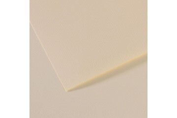 Canson Fon Kartonu (Dokulu) Mı-Teıntes Sh Canmt 50x65 160 GR Ylw 110