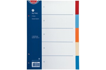 Noki Seperatör 5 Renkli Plastik A4 59115