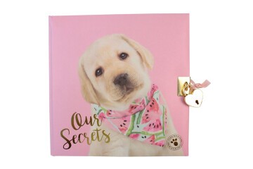 Dolphin Hatıra Defteri Studıo Pets Kilitli Pt-7790