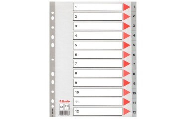 Esselte Seperatör 1-12 Rakamlı Plastik A4 100106