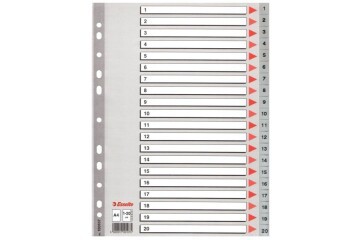 Esselte Seperatör 1-20 Rakamlı Plastik A4 100107