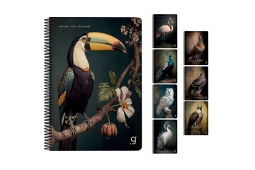 Gıpta Natura Spiralli Karton Kapak Defter A4 80 YP Kareli