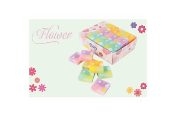 Gıpta Silgi Flower Transıtıon 36 Lı K235900