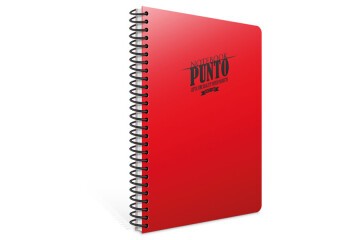 Gıpta Spiralli Defter Punto Plastik Kapak Çizgili 100 YP A4 3-6536000-2011