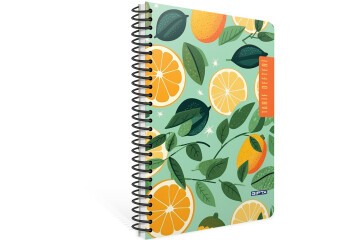 Gıpta Tarif Defteri Spiralli Sert Kapak 20x28 120 Yp