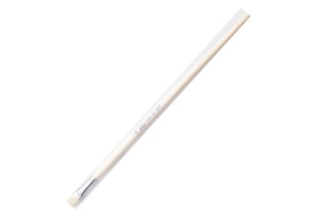 Pebeo Fırça Uzun Bristle Kıl Sert Kıllı Akrilik-Yağlı Boya 258F 04