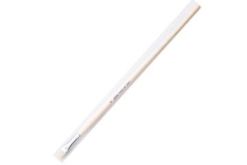 Pebeo Fırça Uzun Bristle Kıl Sert Kıllı Akrilik-Yağlı Boya 258F 06