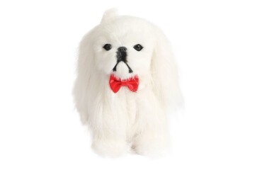 Can Oyuncak Poşetli Sesli Kedi