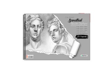 Defne Resim Defteri Çok Amaçlı Spiralli Krt Kapak 38x48 DFN-5061
