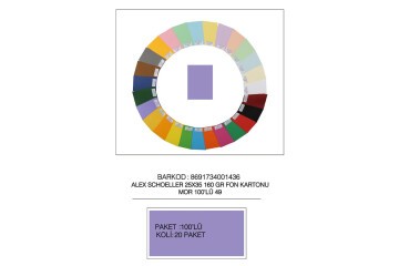 Alex Schoeller Fon Kartonu 25x35 No:49 Mor 100 Lü