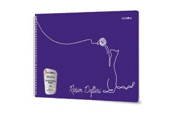 Çınar Resim Defteri Spiralli Plastik Kapak 25 YP 24x34 33006