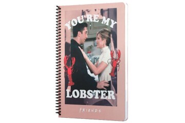 Mabbels Spiralli Defter Friends Youre My Lobster Pembe 80 YP 17x24 DFT-388463