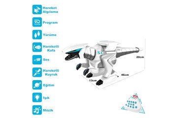 Vardem Oyuncak Uzaktan Kumandalı Şarjlı Etkil Işıklı Müzikli Robot VRD-G17