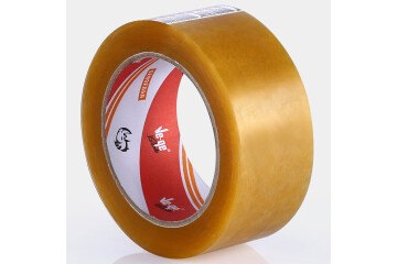 Vege Koli Bantı Gergedan 45x100 Şeffaf